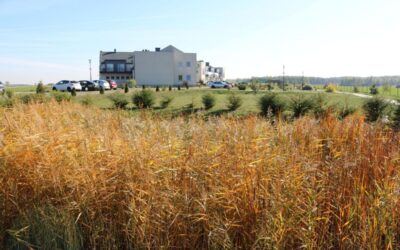 Dzień Seniora w domu seniora – jak wygląda?