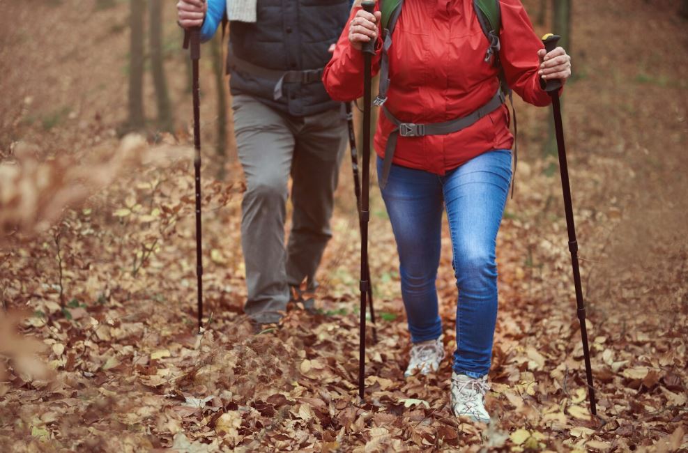Nordic walking dla Seniorów – ruch, zdrowie i radość życia